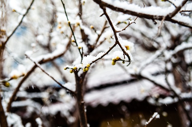 这一节中的