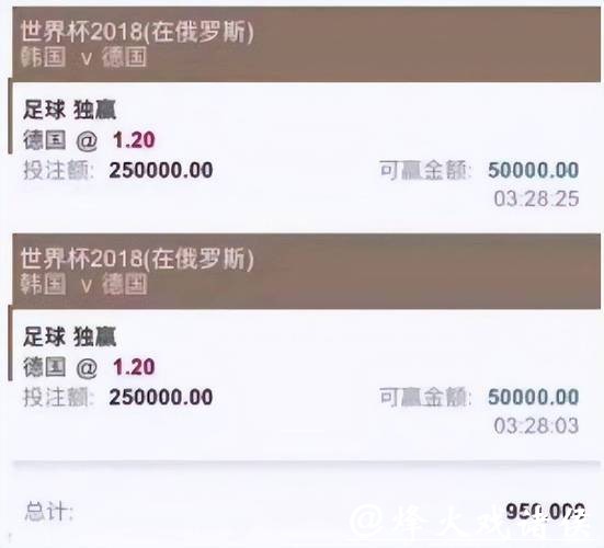 世界杯投注平台深度剖析玩家经历体验